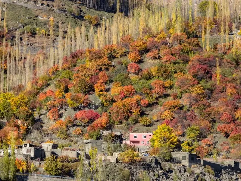Hunza Autumn Tour