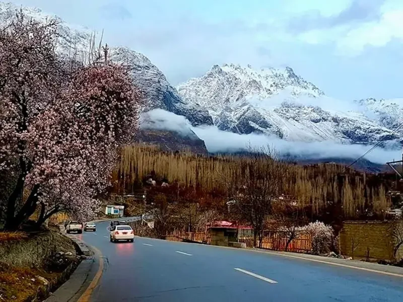 Hunza Cherry Blossom Tour